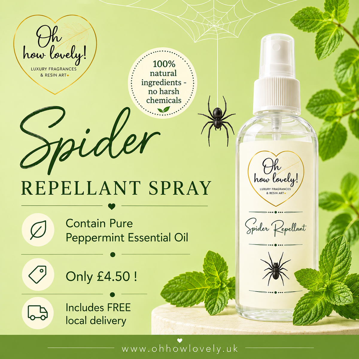 Spider Repellant Spray