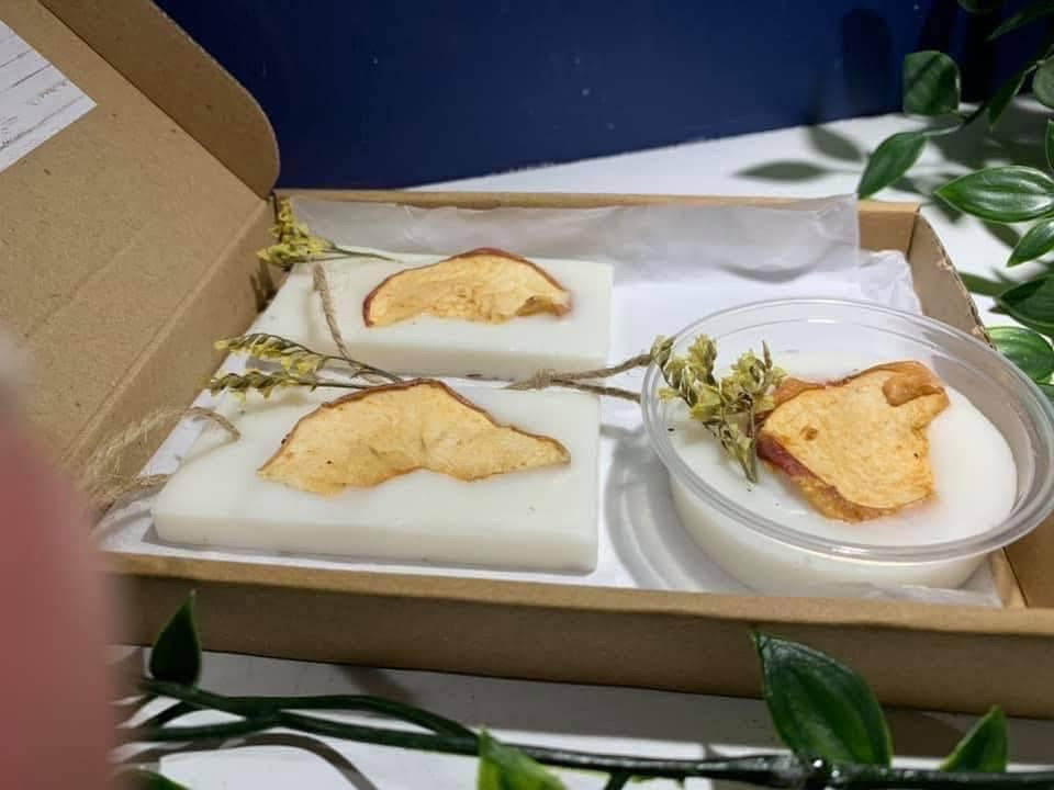 Wax Air Freshener Sets
