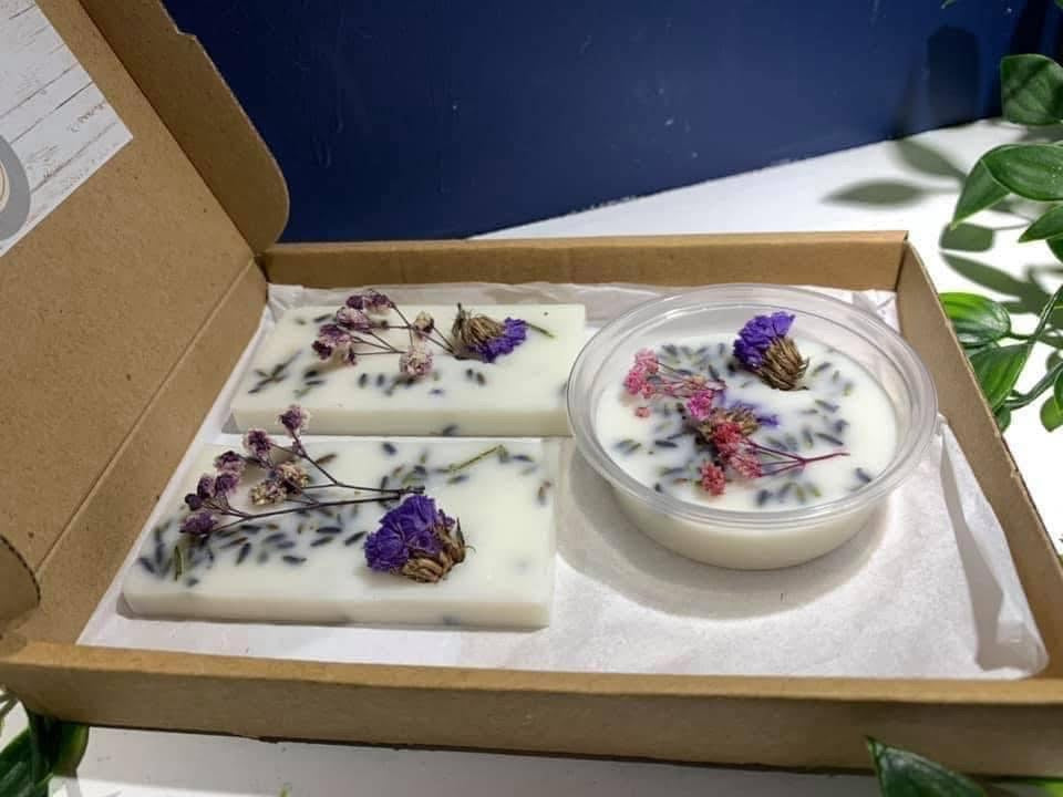 Wax Air Freshener Sets