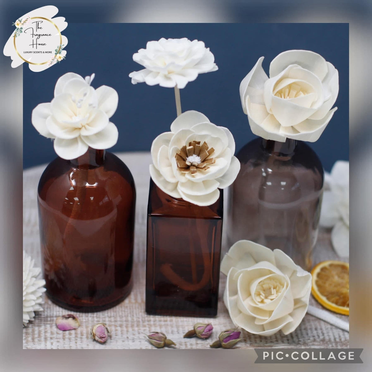 The Autumn Collection