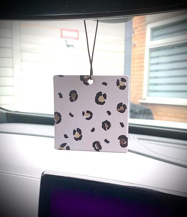 Car Air Freshener Discs